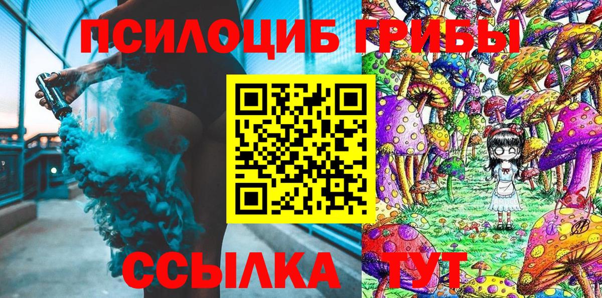 Псилоцибиновые грибы прущие грибы Добрянка