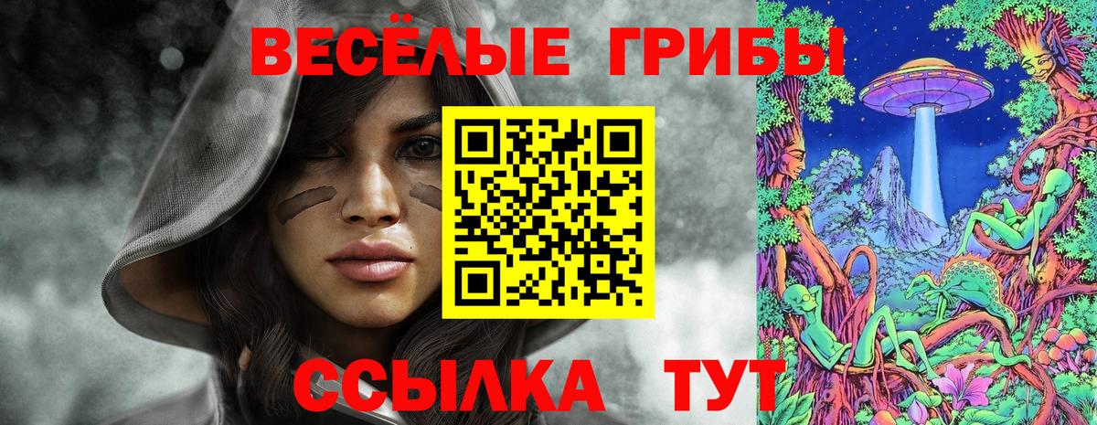 Добрянка  Псилоцибиновые грибы Cubensis  Вход с VPN 
